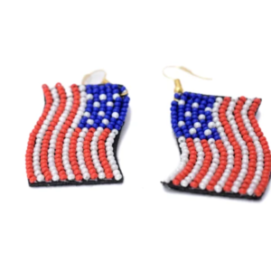 Patriotic Wave Earrings